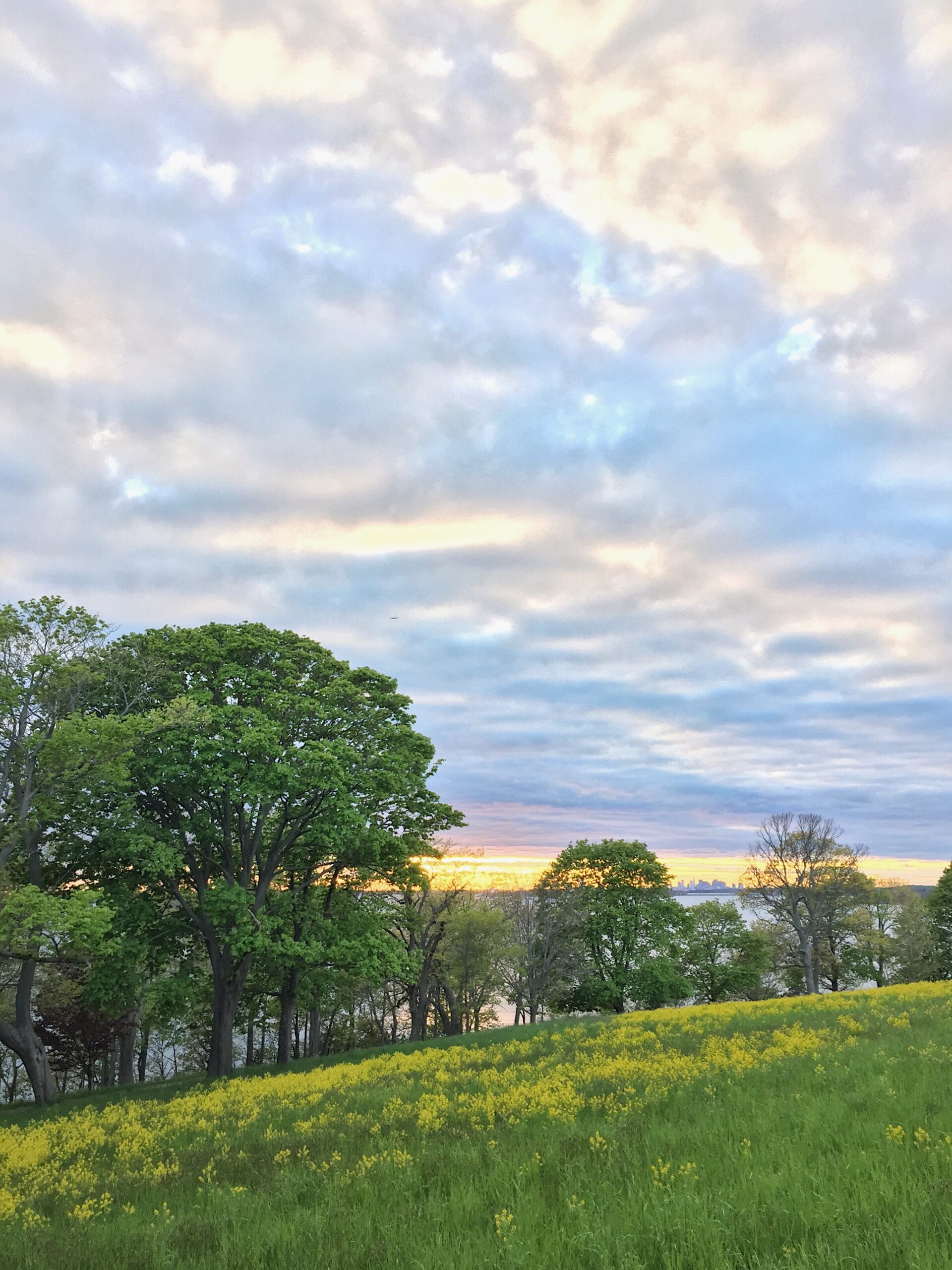 A distant view of the Boston skyline from Worlds End