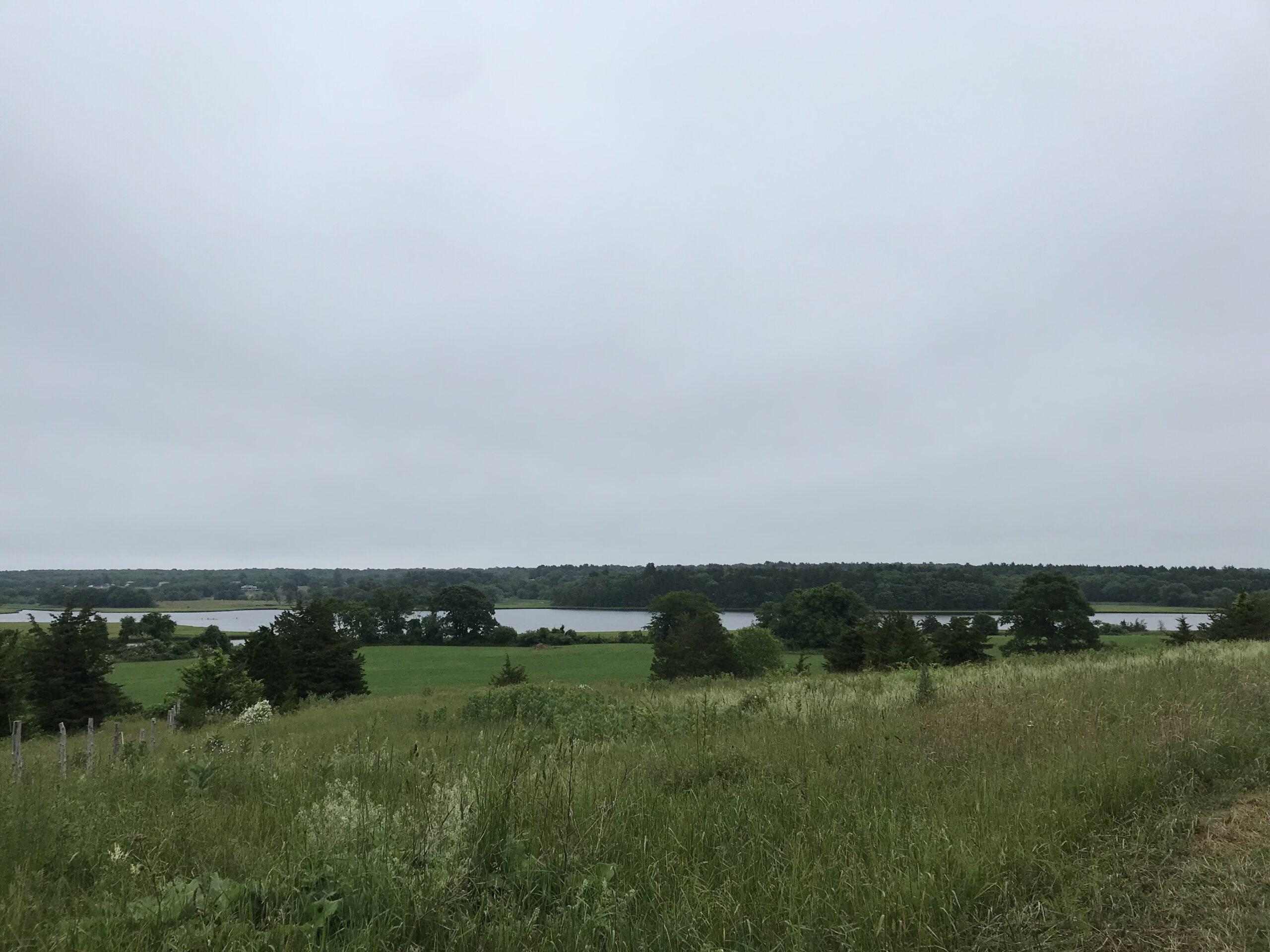 view from Westport Town Farm
