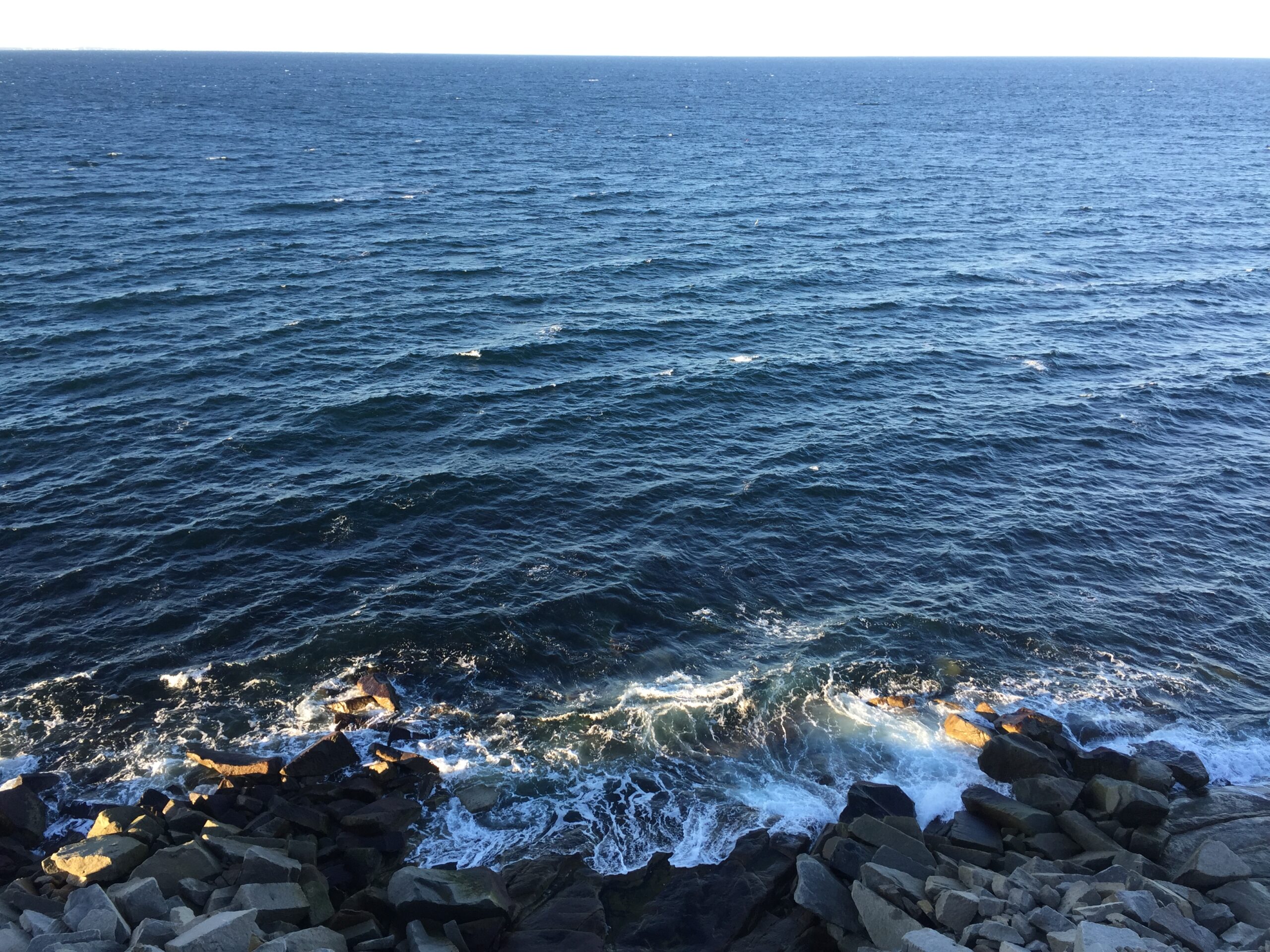waves crash on a rocky shore