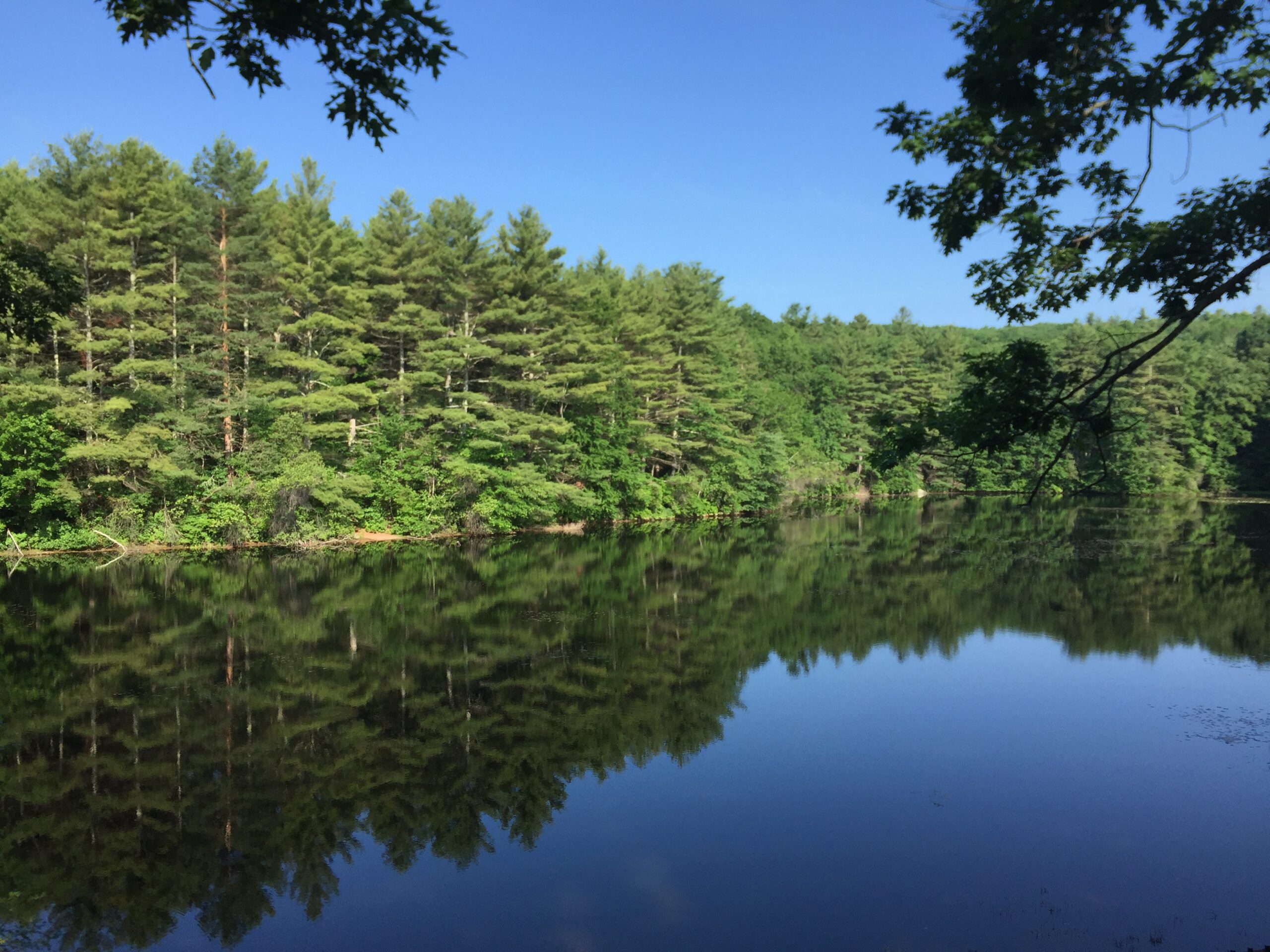 Echo Pond, with forested shoreline, at Rocky Woods