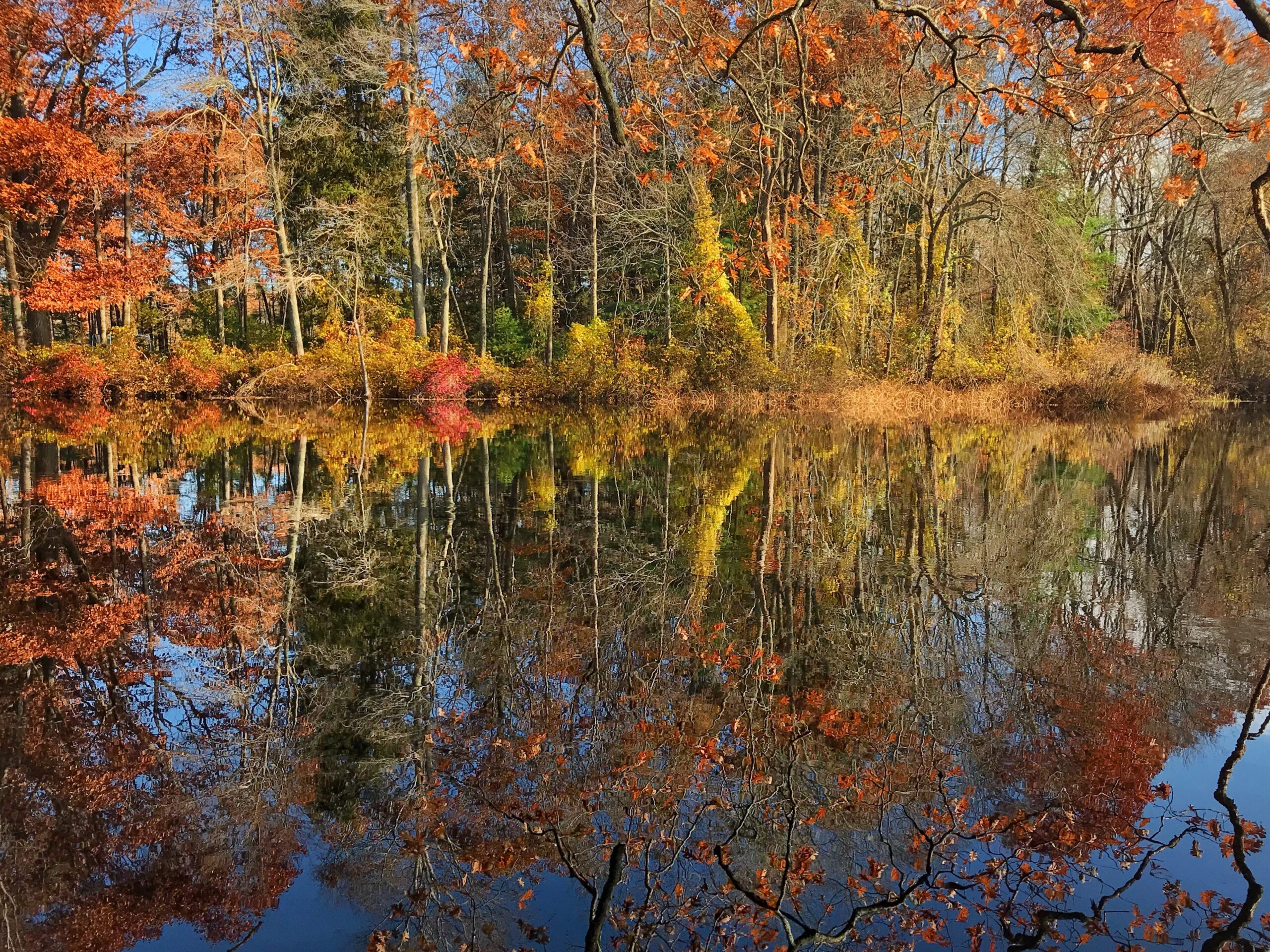 Charles River in Needham
