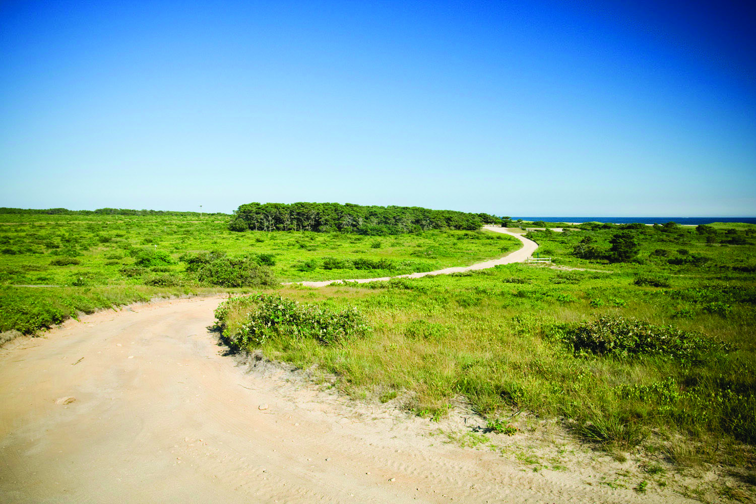 Wasque road