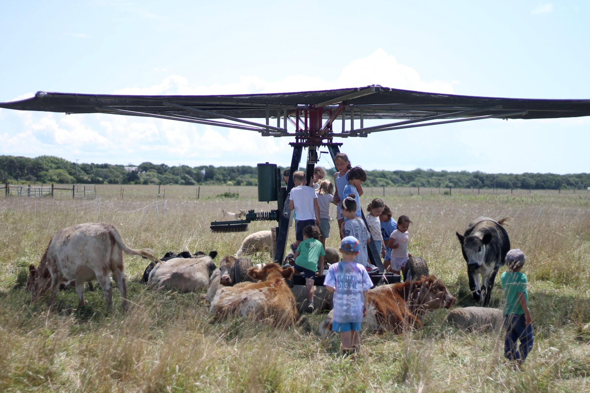 Campers explore farm equipment
