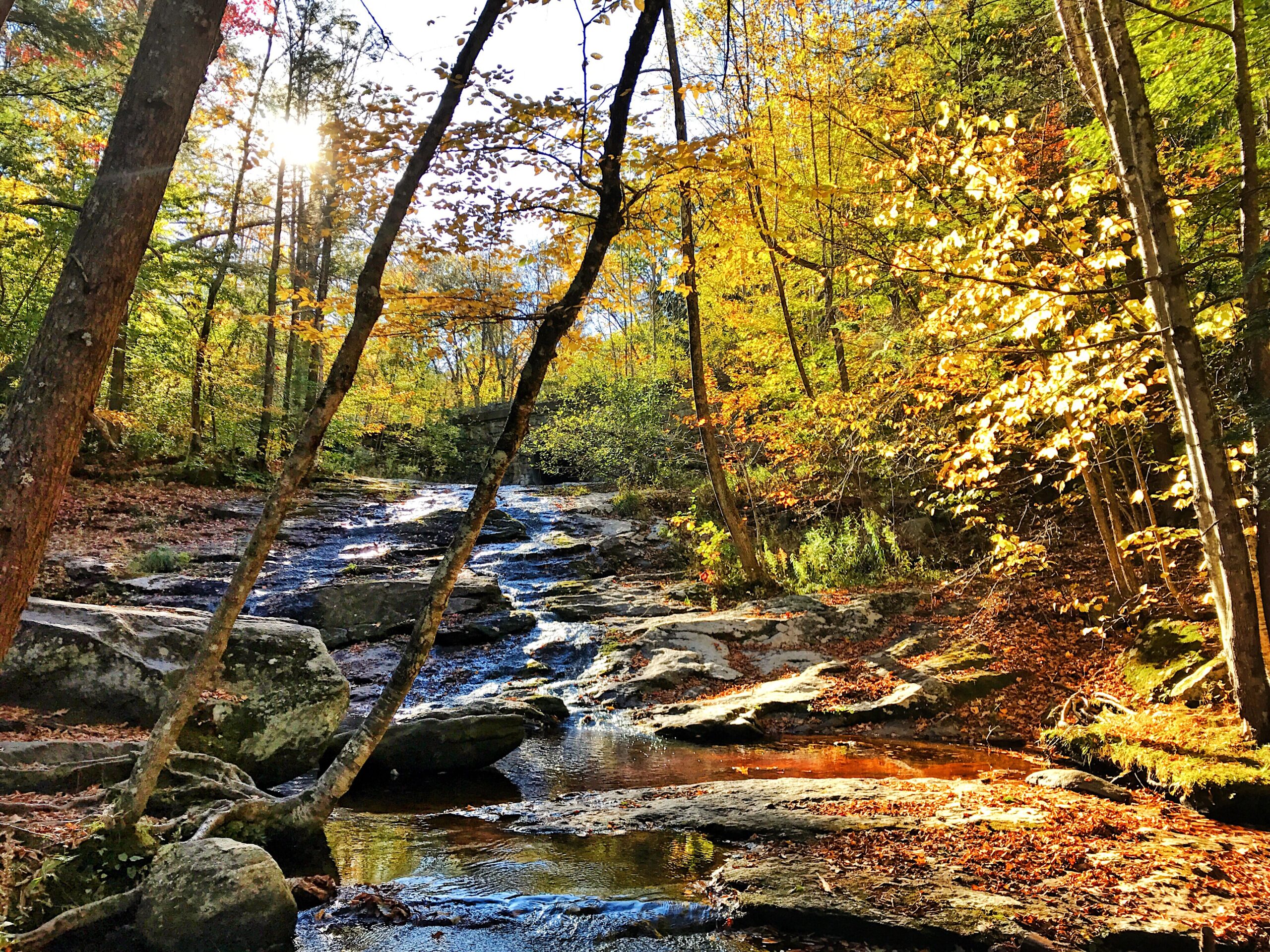 Chapel Brook in Fall