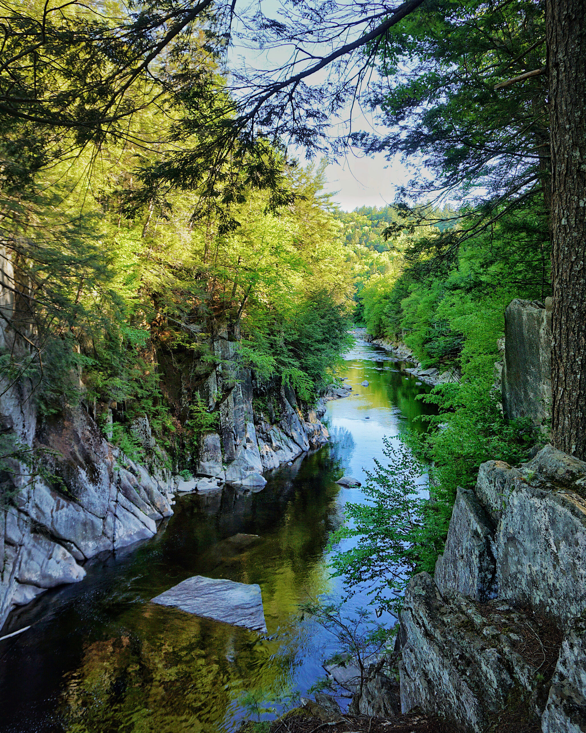 Chesterfield Gorge from above