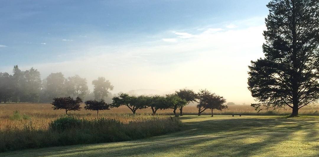 Field Farm morning