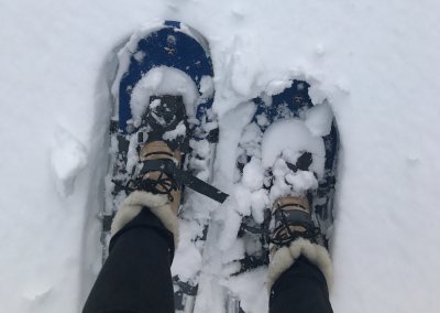 snowshoes from above