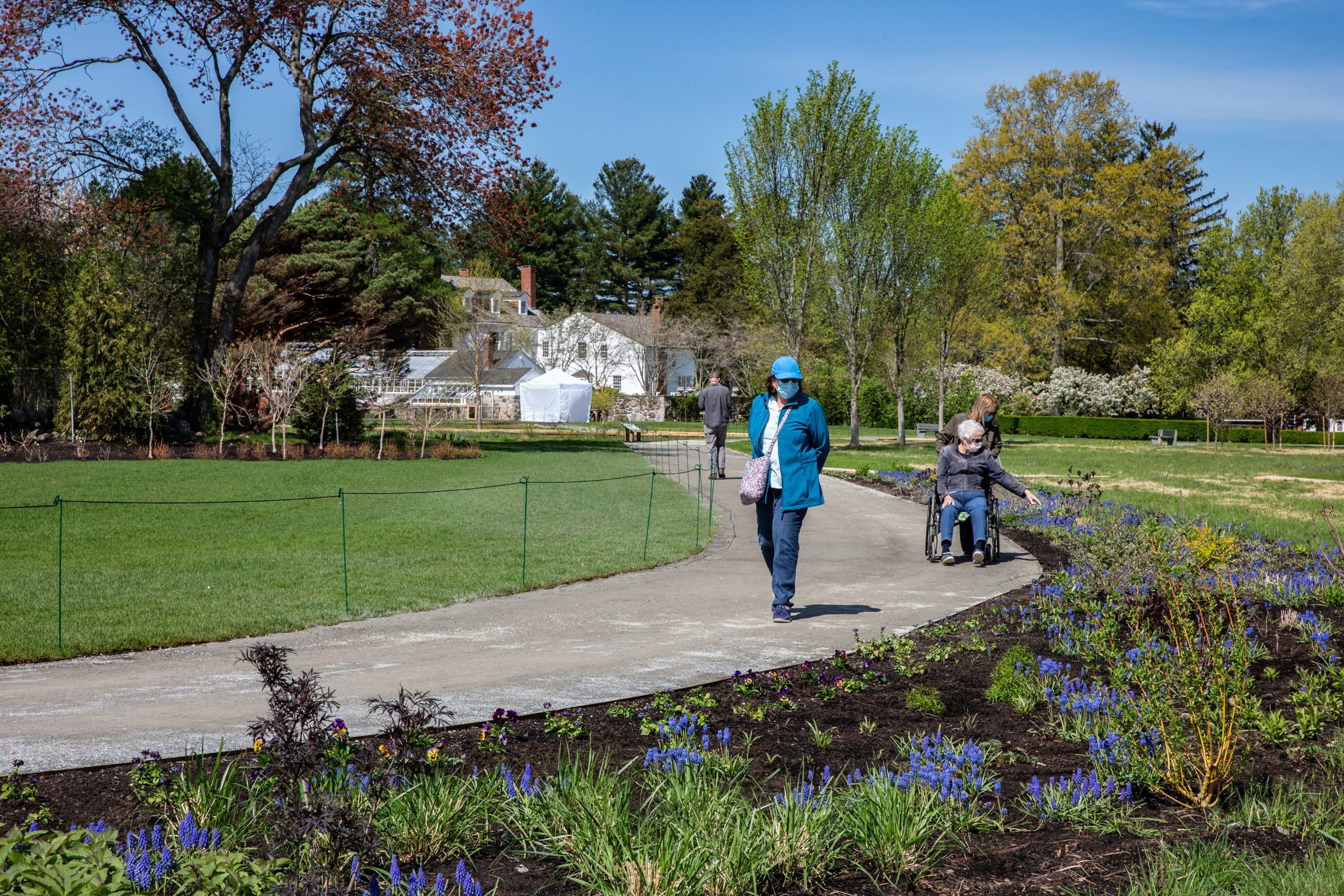Woman in wheelchair on the accessible path running through the garden of Stevens Coolidge House & Gardens