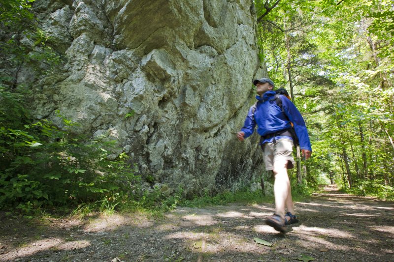 Hiker