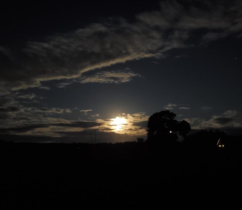 appleton moon