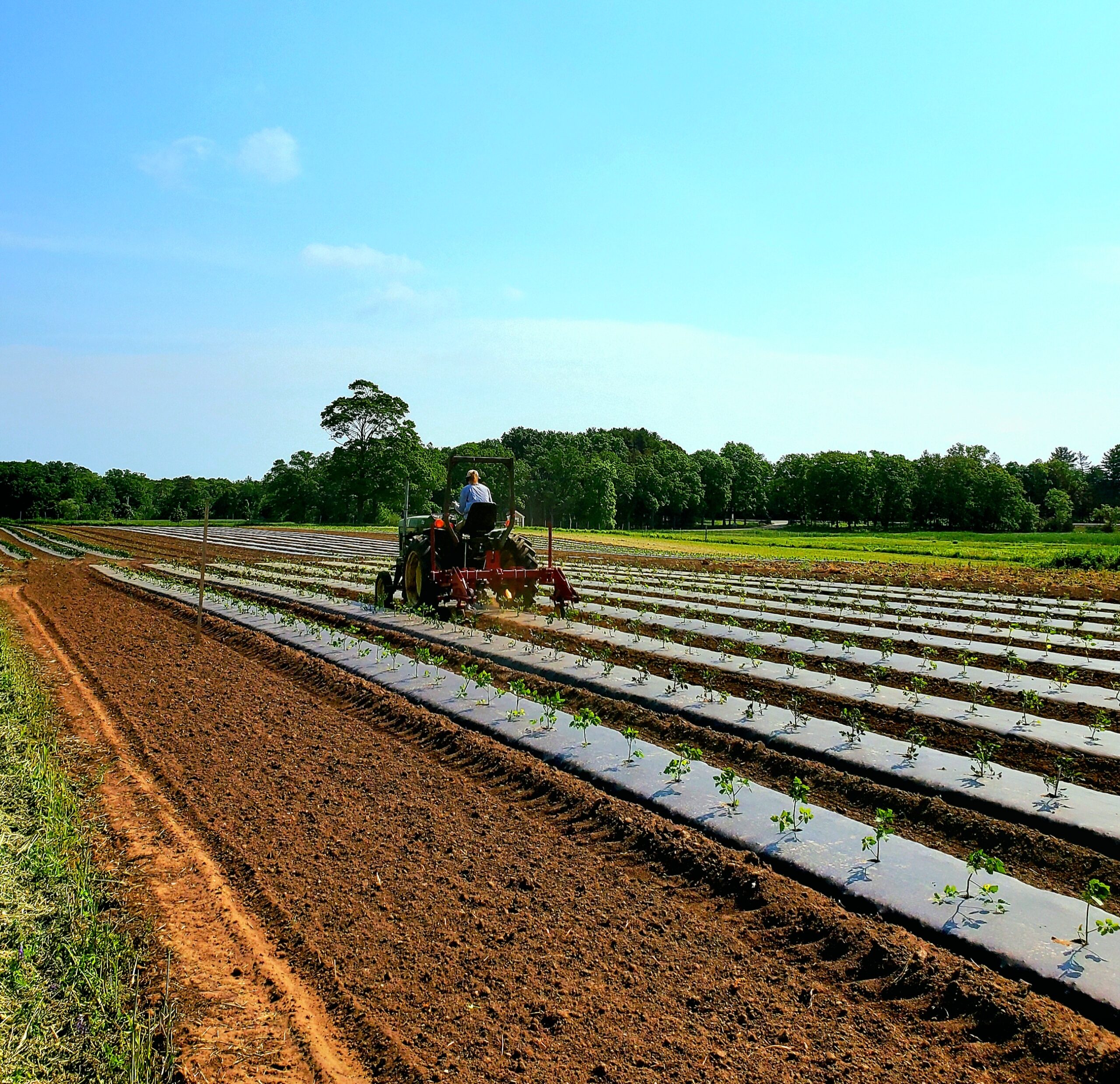 farmer on a tractor in field