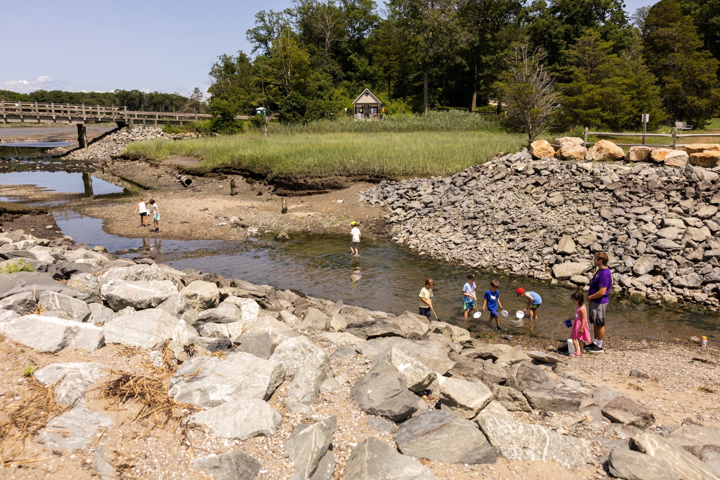 campers explore a stream